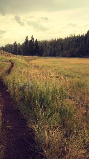 冒险岛猴子森林怎么去截图2