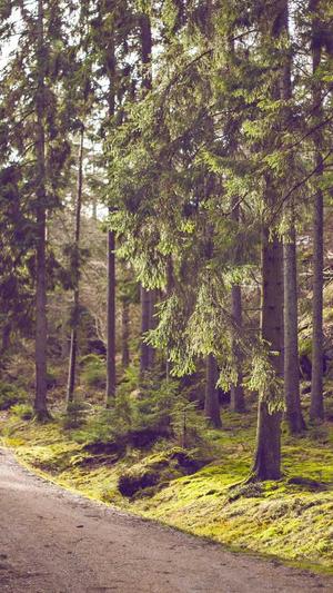 刚开的传奇私服截图1