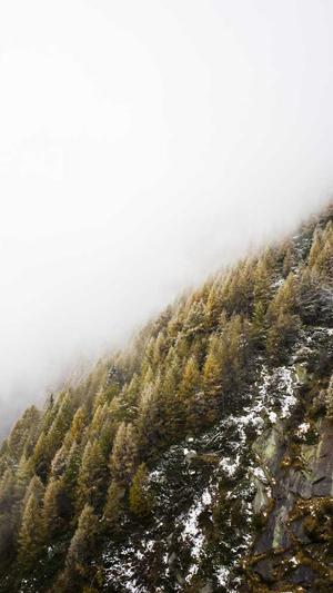 传奇皇帝朱元璋截图1