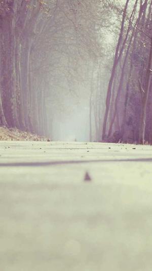 冒险岛前往新世界任务截图1