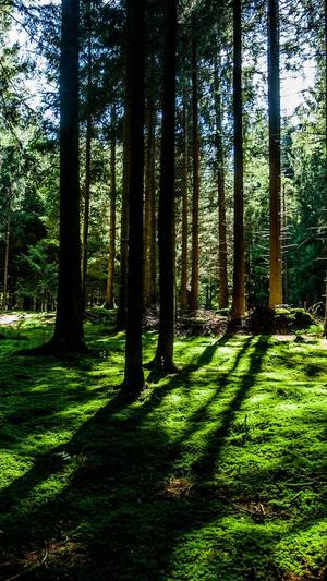 冒险岛起源之塔截图4