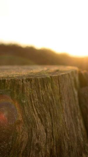 冒险岛2018升级攻略截图3