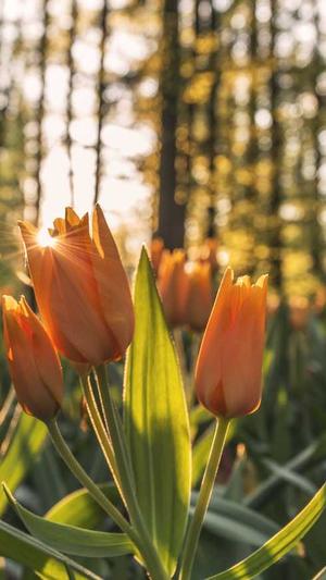 dnf不灭战神刷图加点截图2