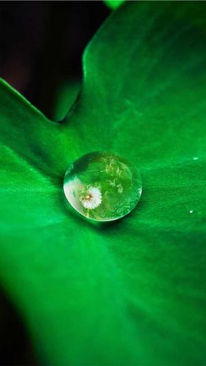 传奇私服广告代理截图2