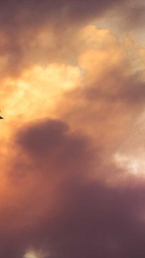 最新开变态传奇私服截图2