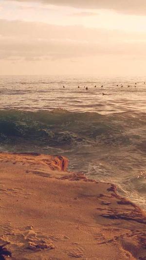 冒险岛神秘套装属性截图3