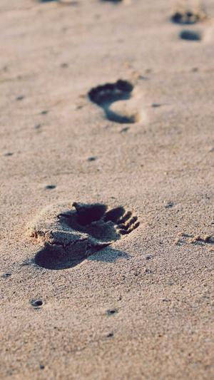 冒险岛交易平台截图5