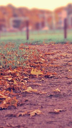 花木兰传奇截图2