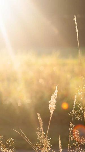 1.85复古传奇截图3