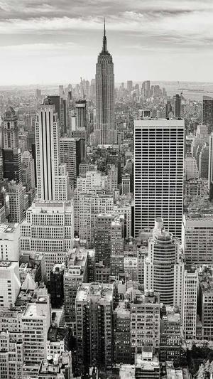 冒险岛刀飞加点截图3