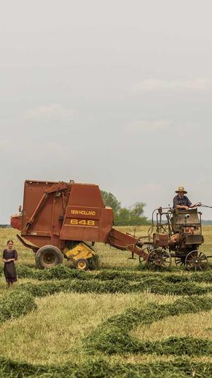 新开电信传奇网站截图4