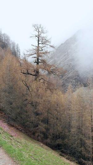 传奇私服1.80发布网截图2