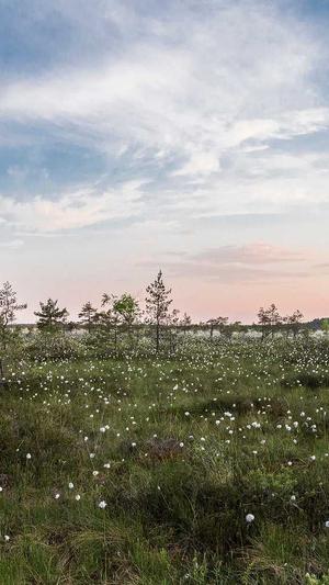 新白娘子传奇演员表截图2