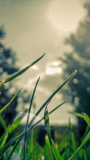 冒险岛多开截图4