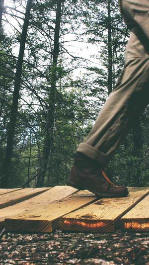 抗日之将胆传奇截图3