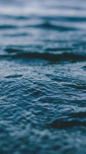 冒险岛玩具城奖牌截图2