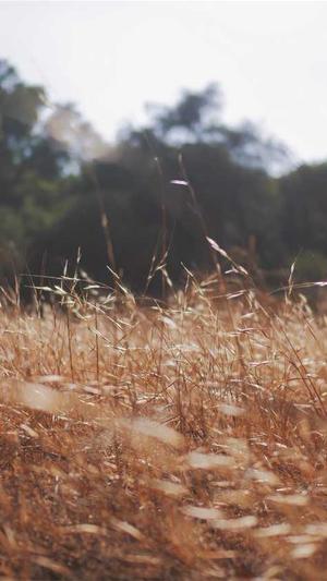 今日新开传奇发布网截图1
