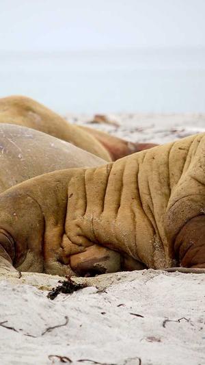 dnf封号申诉截图2