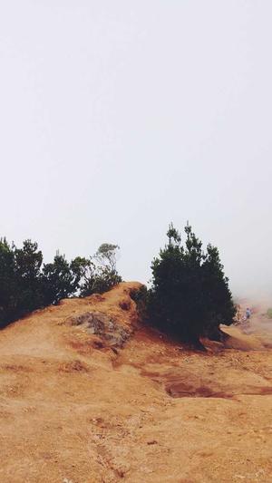 冒险岛满钱是多少截图2