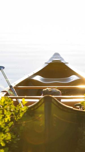 dnf复仇者吧截图1