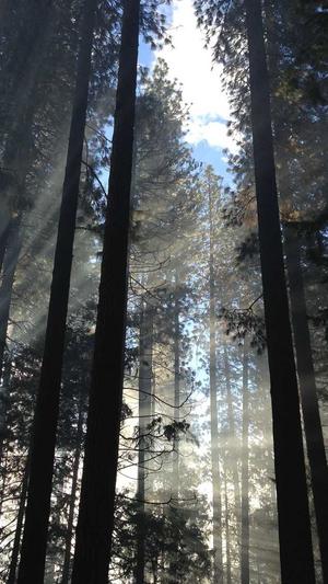 冒险岛必做任务截图2