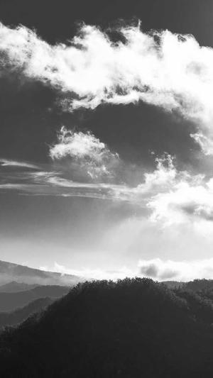 dnf婚房满属性截图3