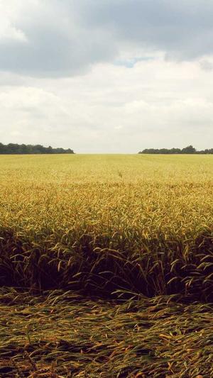 心动冒险岛截图2