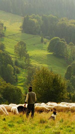 神鬼传奇战士加点截图1