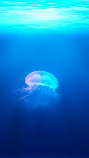 冒险岛阿卡伊勒截图1