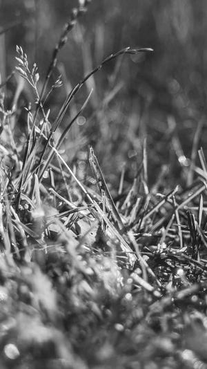 dnf游戏盒子截图3