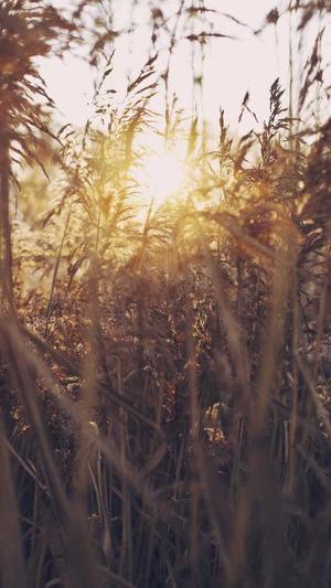 wegame冒险岛截图2