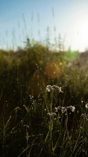 1.76传奇sf网站截图2