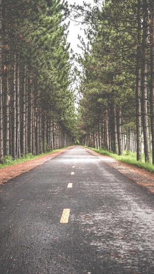 天天梦幻西游私服截图1