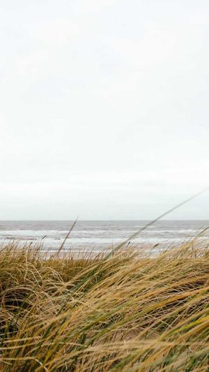 冒险岛狂龙战士加点截图1