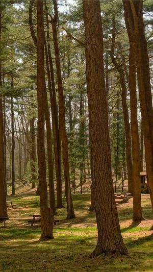 dnf账号金库升级截图3