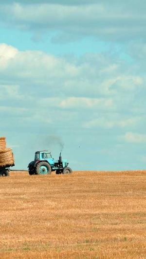 冒险岛被遗忘的仙人截图2