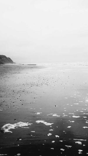 李小龙传奇截图2