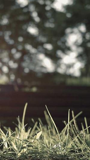 冒险岛战神升级路线截图3