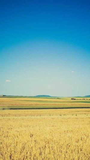 dnf强烈的气息截图3