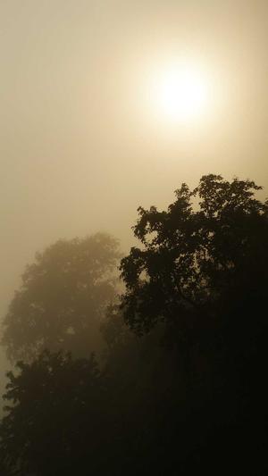 冒险岛机器人截图3