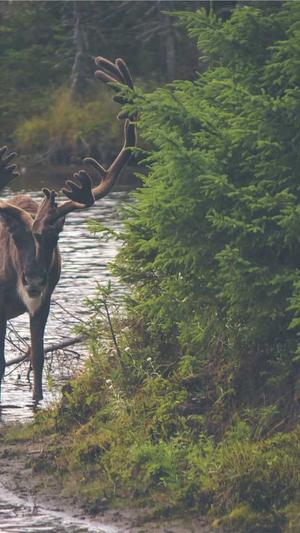 冒险岛职业排名2018截图4