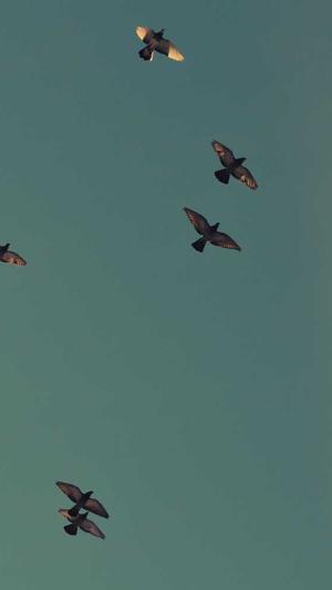 dnf爱拍视频截图4