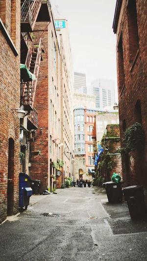 wpk辅助挂下载截图1