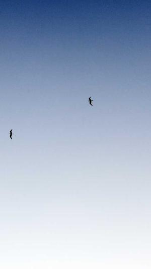 新白娘子传奇电视剧截图2