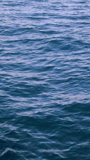 冒险岛进化系统前置任务截图1