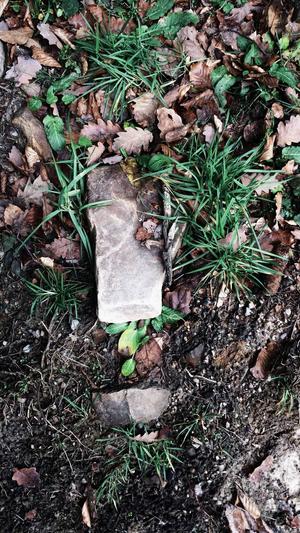 dnf装备词典截图2