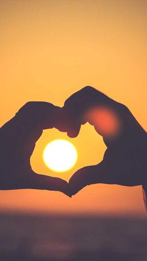 冒险岛宠物自动喂食截图1