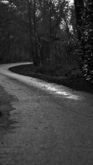 dnf官网下载截图4