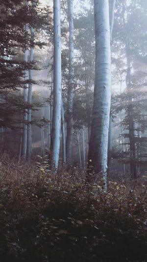 好私服传奇截图3