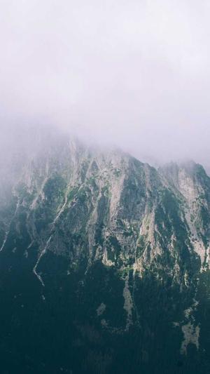 冒险岛新叶城怎么去截图1